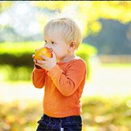 Toddler Eating Development:  Key Milestones