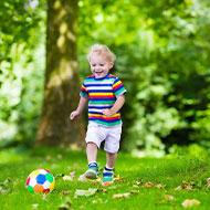 Physical and Motor Development