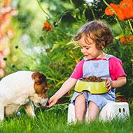 Furry Friends: Learning to Interact with Animals