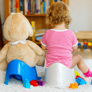 How to Toilet Train a Toddler